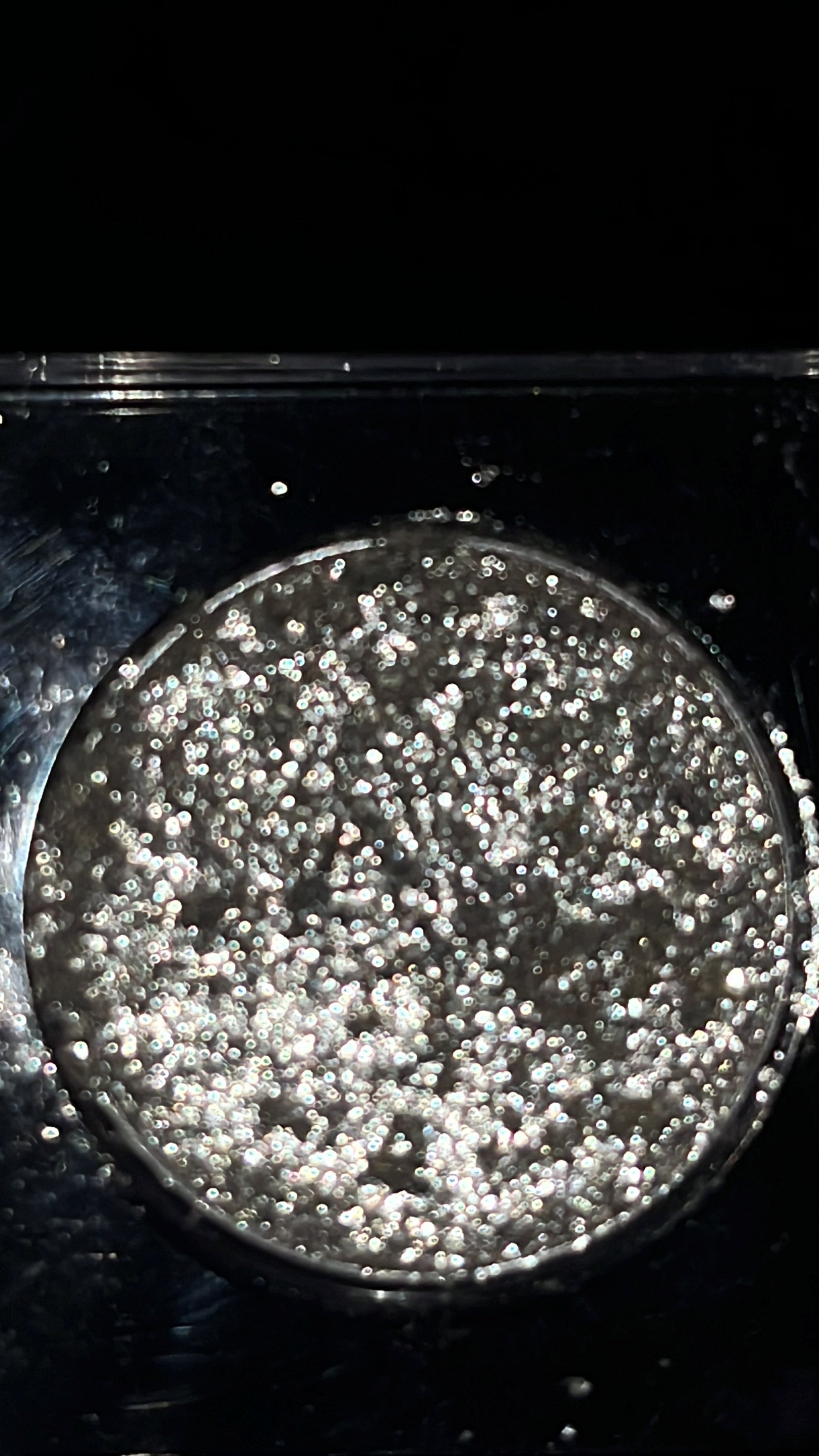 Silver Frost Metallic Eyeshadow